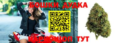 прущие грибы Кулебаки